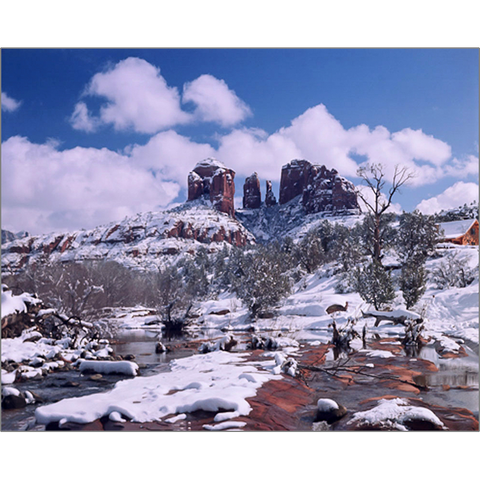 Cathedral Rock In Snow