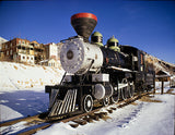 Virginia Truckee Train
