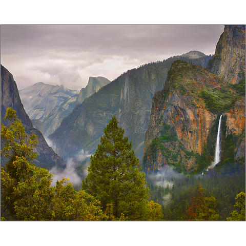Fog Over Yosemite Valley