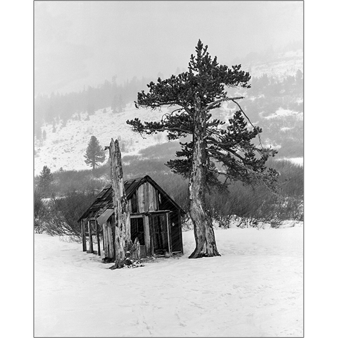 Old Cabin In Snow